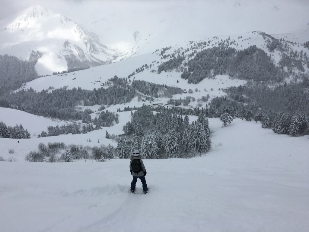 Powder day on Mont Chery. Mouflon, Les Gets