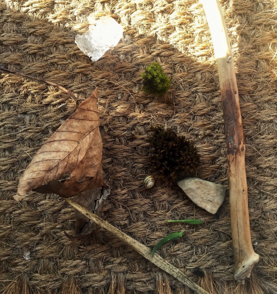 Nature collecting after a day at school in France