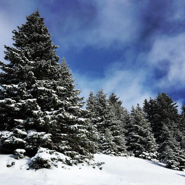 Blue skies and fresh snow in Champéry, Portes Du Soleil. Heaven!