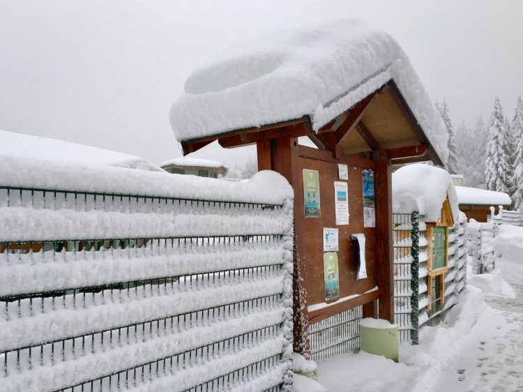 Low temperatures and lots of snow in the Portes Du Soleil, December 2017.