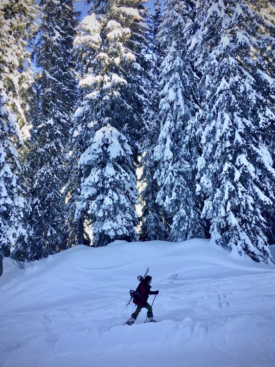 January snowshoe hike in the Alps sup pounded by snow covered trees Up-Stix Images