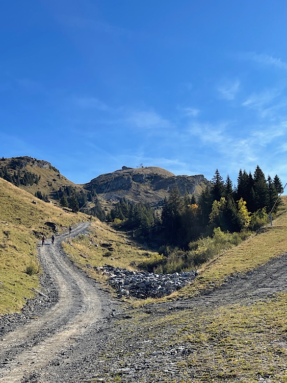 Mossettes and Cookie Cafe up top. Track to the left and Abricotine piste joining on the right.
